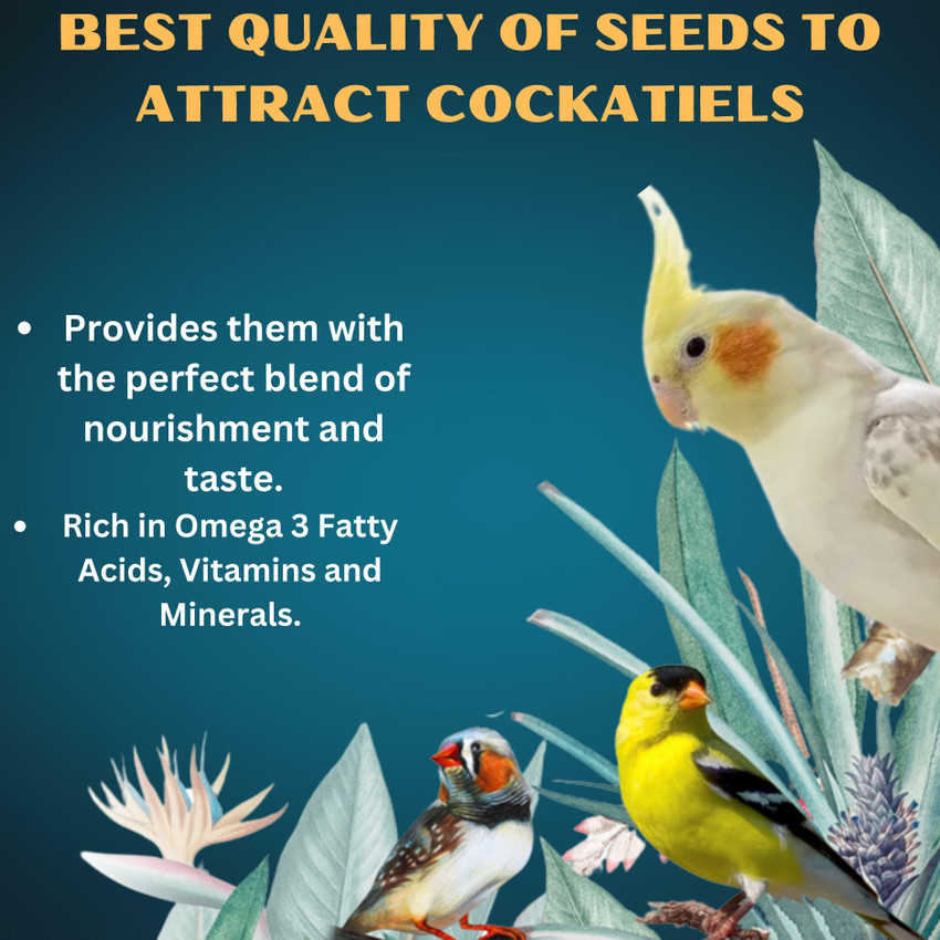 Good treats for cockatiels sales
