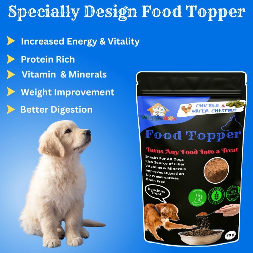 Best tasting outlet food for dogs