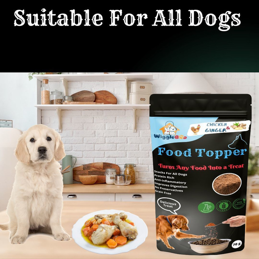 Best tasting food for dogs online