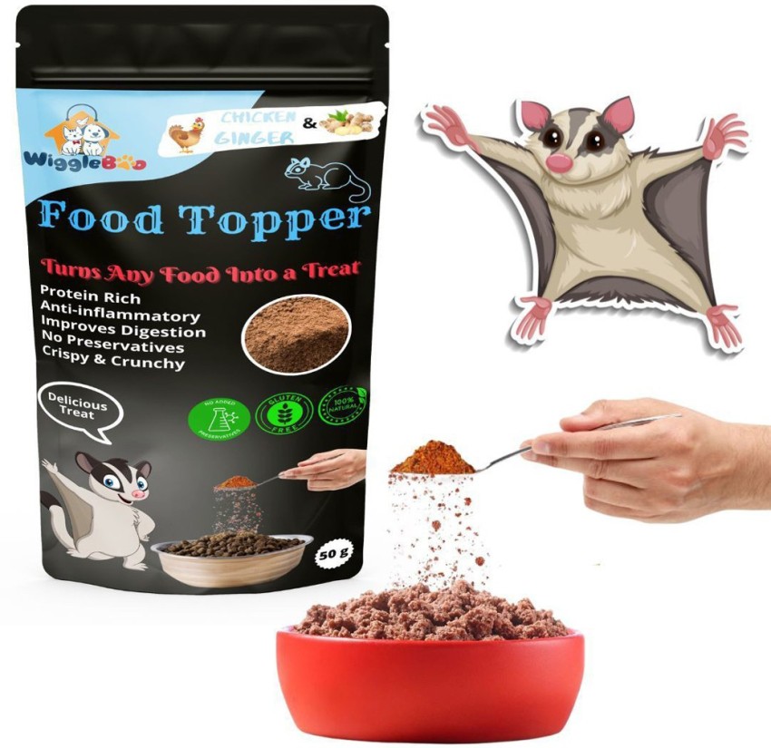 Best sugar glider food best sale