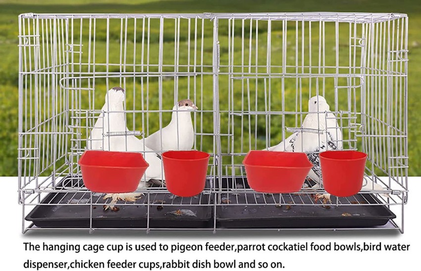 Bird best sale cage food