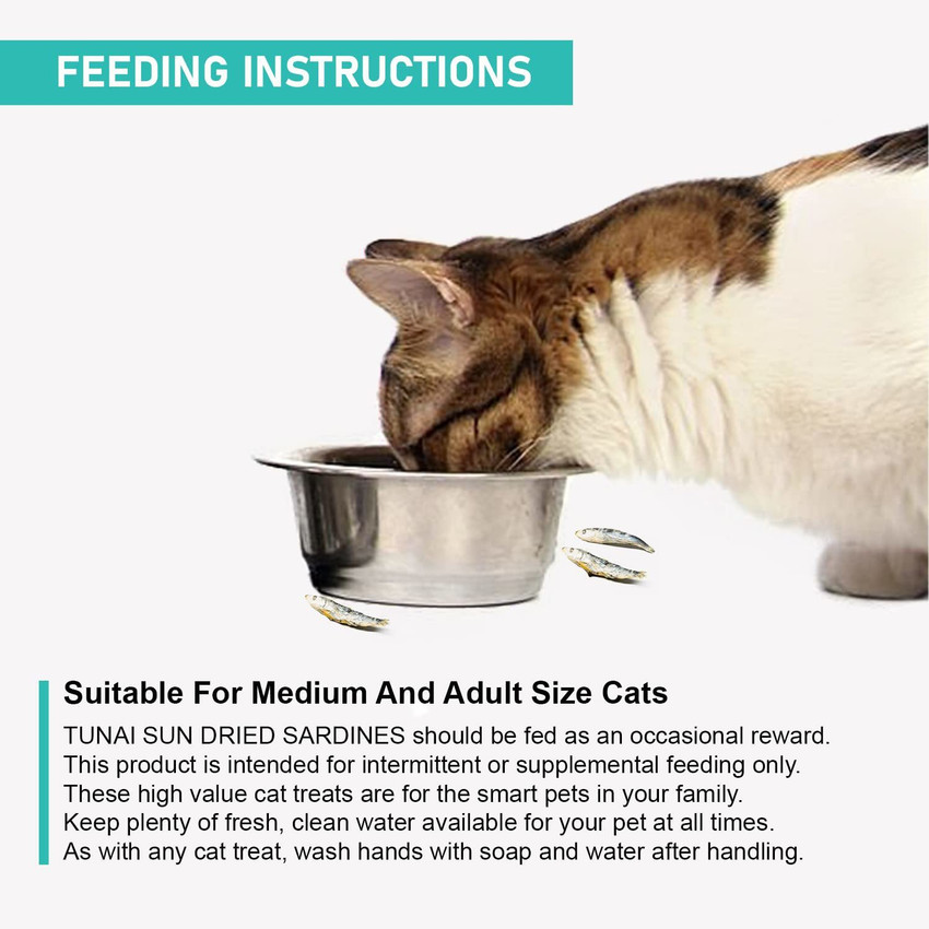 Feeding cats sardines online