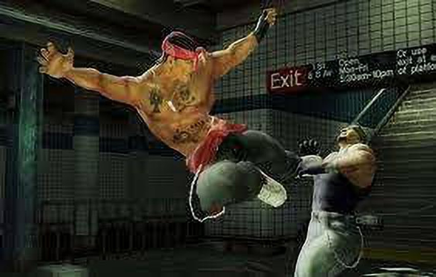 Def Jam FIGHT FOR NY PlayStation 2 PS2 Japanese NTSC-J EA