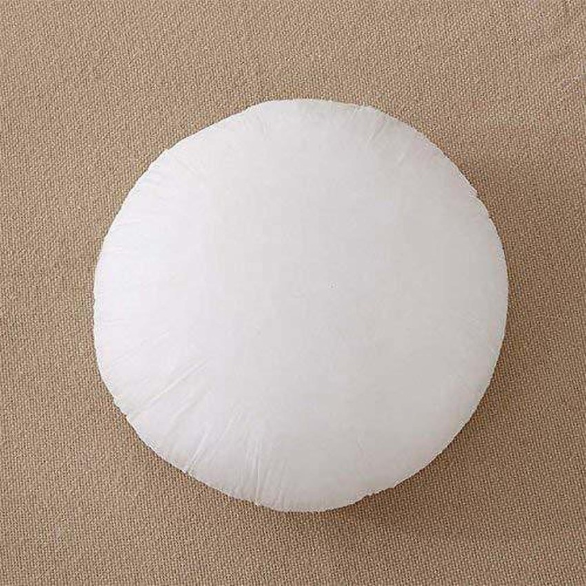 Circle 2024 pillow insert