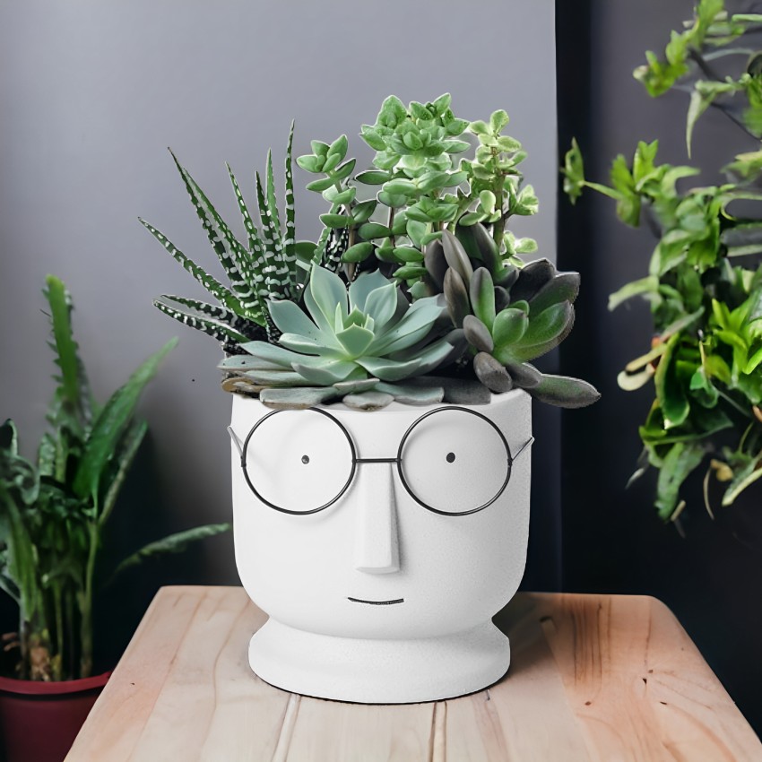 Myla Modern White Clay Outdoor Planter Vase + Reviews