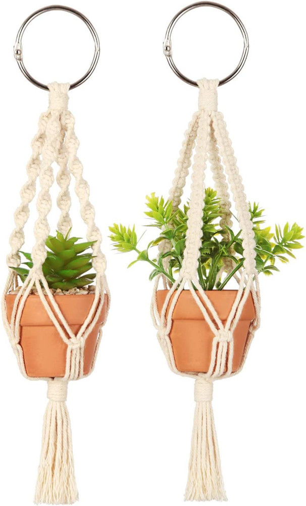 Hanging plant car sales mirror