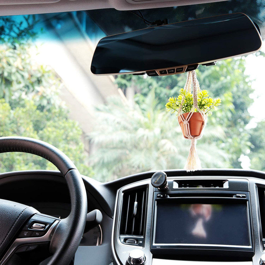 Rear view mirror succulent hot sale