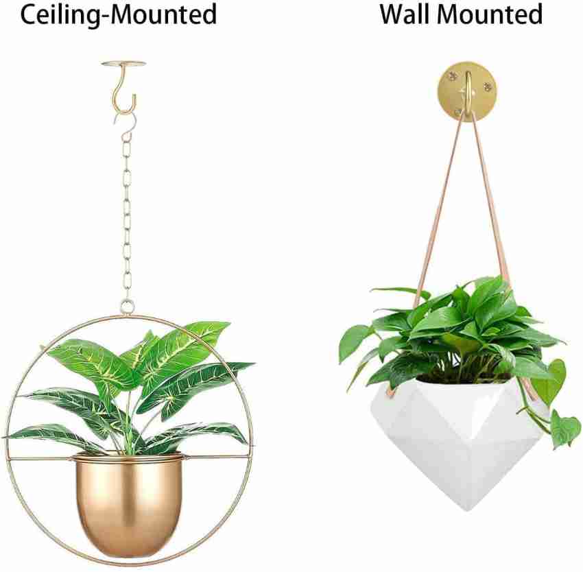 ROSE AHMED 6PCS Ceiling Hooks for Hanging Plants - Metal Plant Bracket Iron  Wall Mount Plant Container Set Price in India - Buy ROSE AHMED 6PCS Ceiling  Hooks for Hanging Plants 