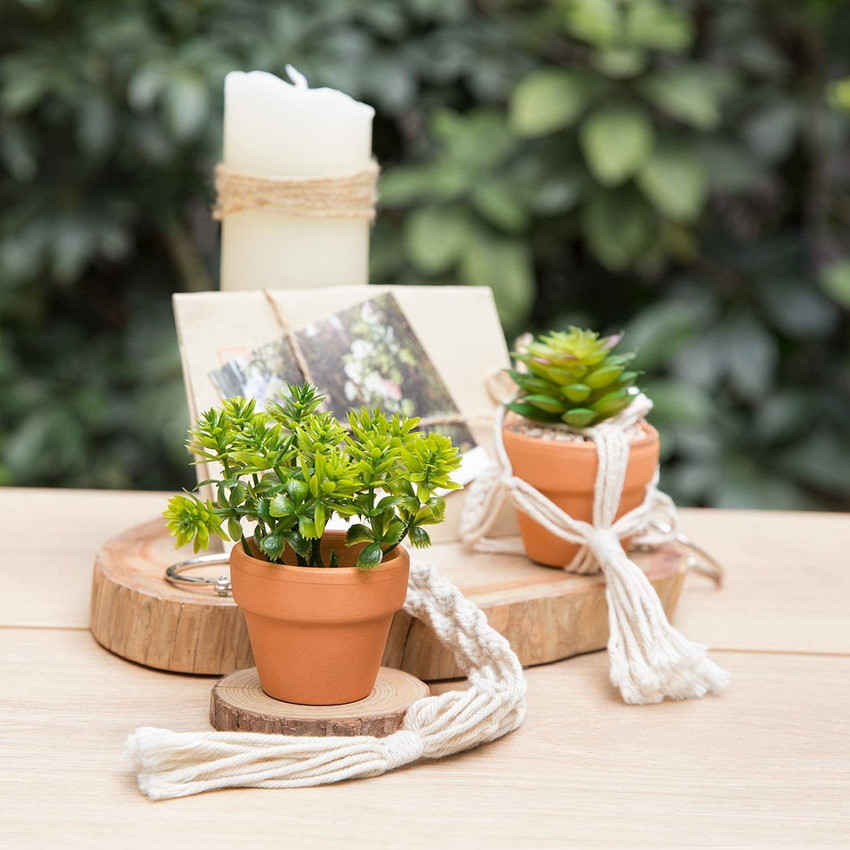 Rear view online mirror succulent