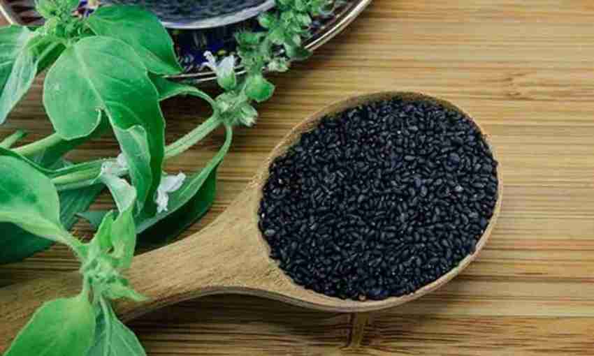 Aromatic basil seeds sabja beej Tukmaria seeds Bapji Seeds Seed