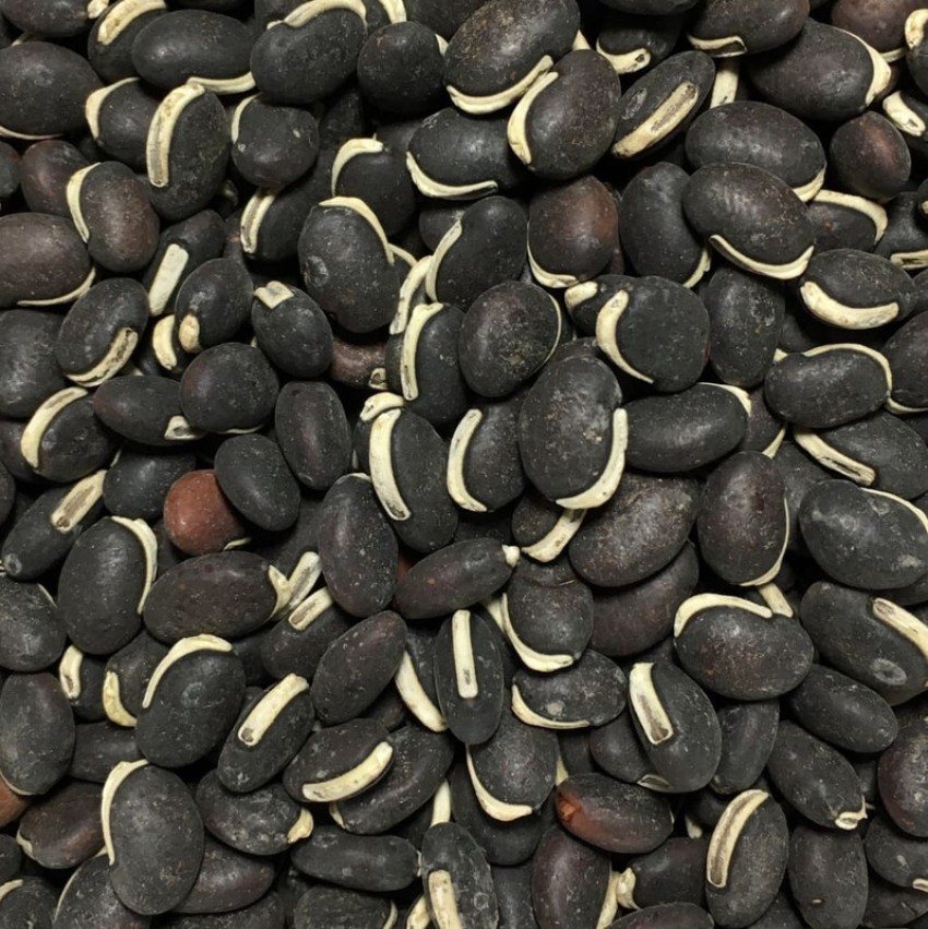 Hyacinth store bean seed