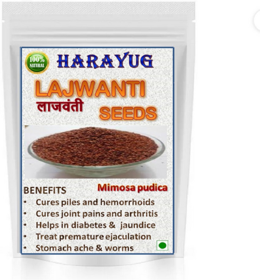 HARAYUG LAJWANTI SEEDS LAJVANTI BEEJ CHUI MUI MIMOSA PUDICA