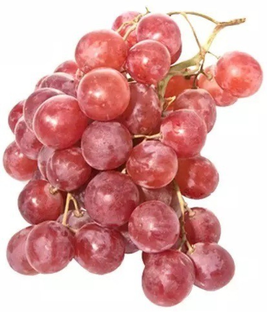 PASCLE Organic Green Super Sweet Grapes Seed Price in India - Buy