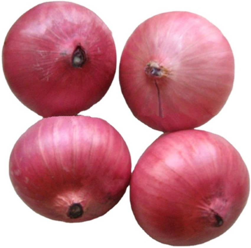 Pink Onion (Big) - (Pack of 100+ Seeds) - GardenHunt