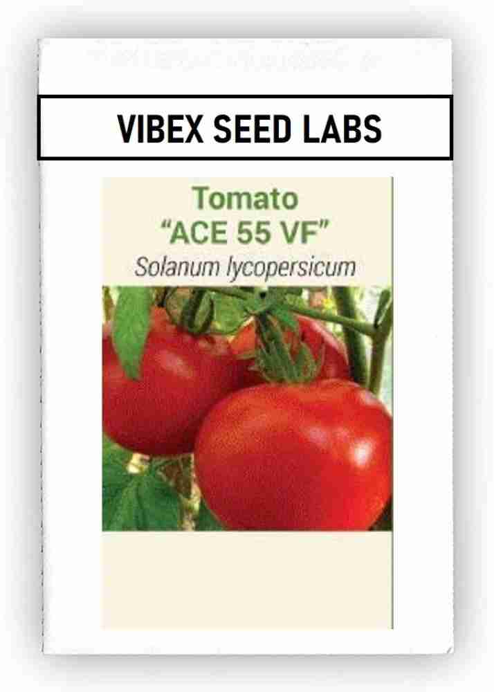 CYBEXIS Hardy Blue Tomato Seeds1000 Seeds Seed Price in India - Buy CYBEXIS  Hardy Blue Tomato Seeds1000 Seeds Seed online at