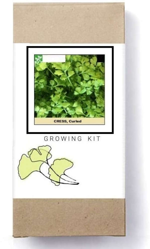 CRESS - Curly Cress — Seeds Trust