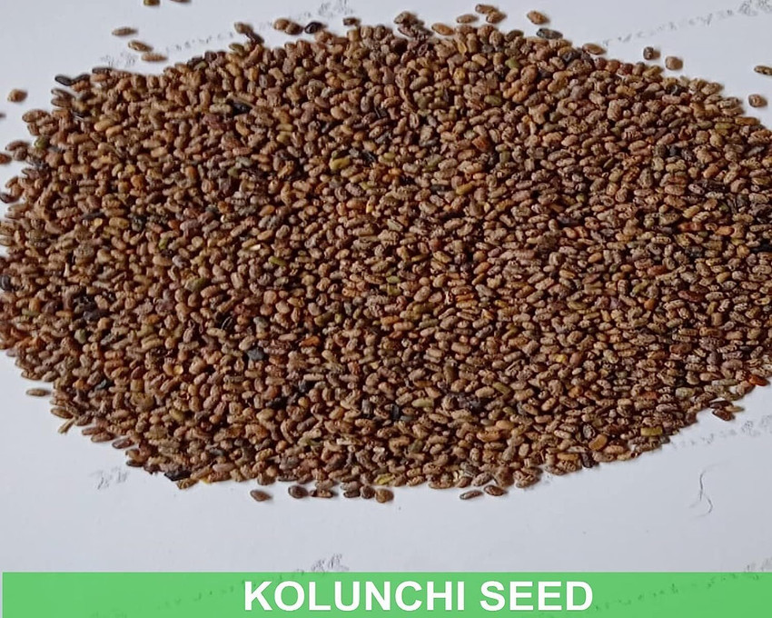 IAgriFarm Wild indigo /Sarphonk /Sharpunkha / Kolinchi seed IAgriFarm Wild indigo /Sarphonk /Sharpunkha / Kolinchi seed