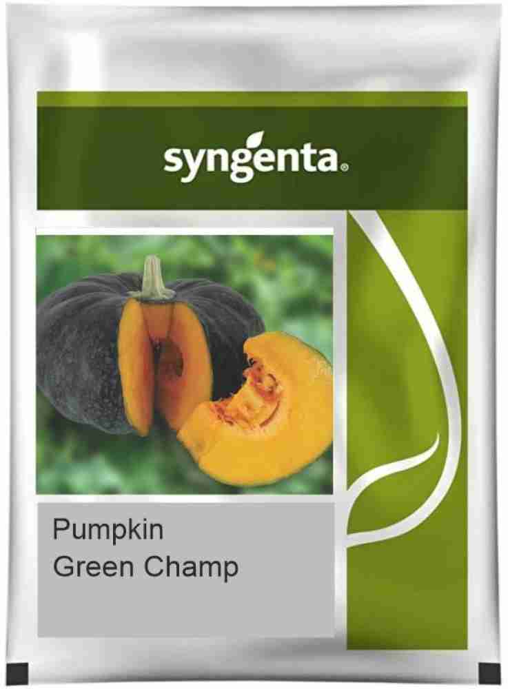 TRICONE SYNGENTA Hybrid Green Champ Pumpkin 50 GRAM Seeds Seed Price in  India - Buy TRICONE SYNGENTA Hybrid Green Champ Pumpkin 50 GRAM Seeds Seed  online at