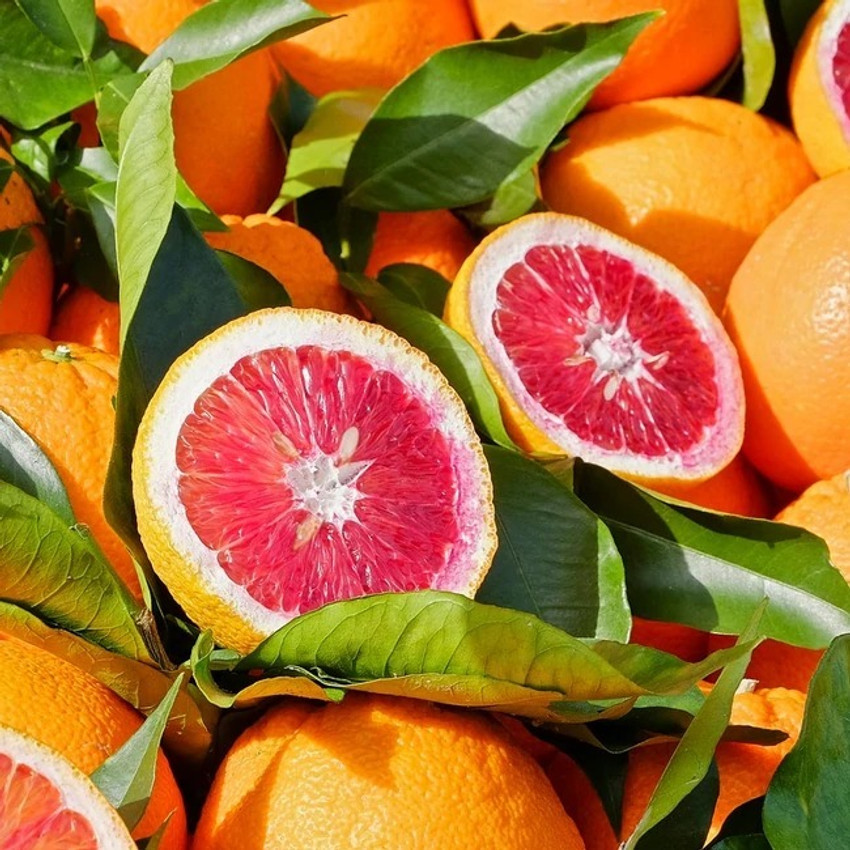Blood 2025 orange fruit