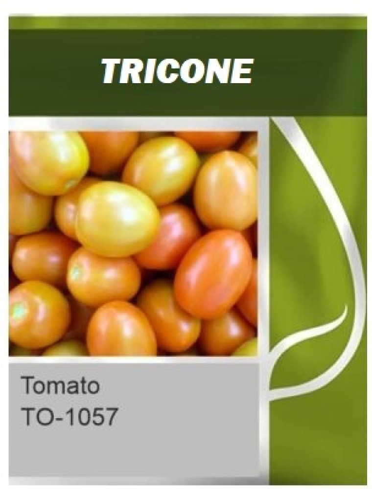 TRICONE Hybrid Tomato TO- 1057 Tamatar Seeds 800 seeds Seed Price 