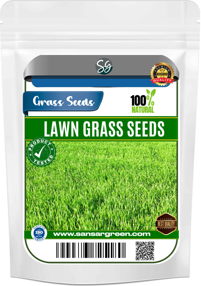Home Depot Zoysia Seed