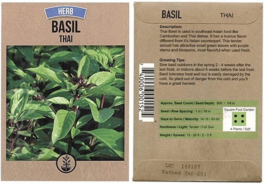 CYBEXIS Thai Basil Seed Price in India Buy CYBEXIS Thai Basil