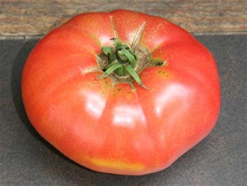 Organic Tomato Seeds - Brandywine Pink