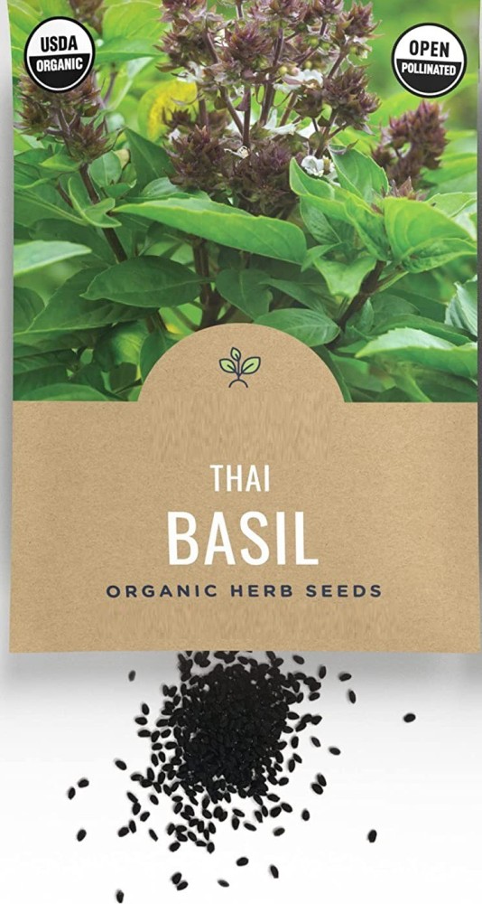 VibeX VXI 102 Thai Holy Basil Seeds Seed Price in India Buy