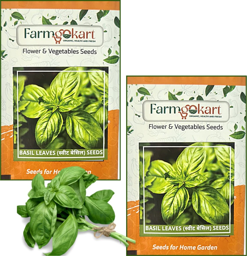 farmgokart 2 Packets of BASIL SEEDS Quality Herbs Seeds Pouch