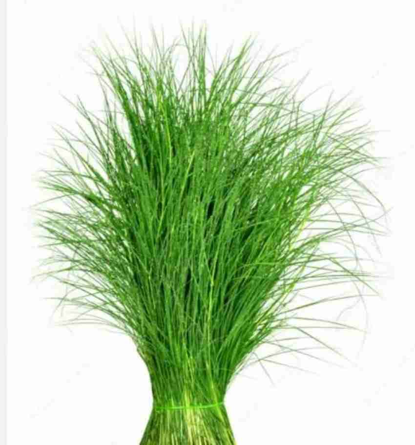 Doob grass on sale