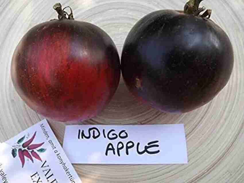 Apple indigo 2025