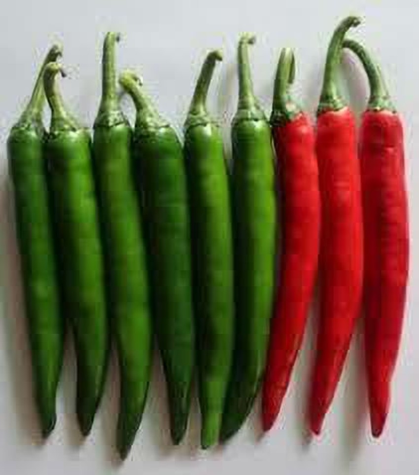 paudhawala chilli , mirchi Seed Price in India - Buy paudhawala chilli ,  mirchi Seed online at Flipkart.com