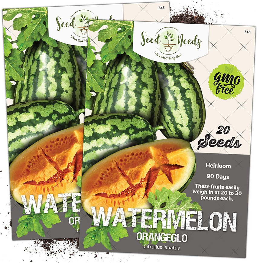 Sow Right Seeds - Orangeglo Watermelon Seeds for Planting