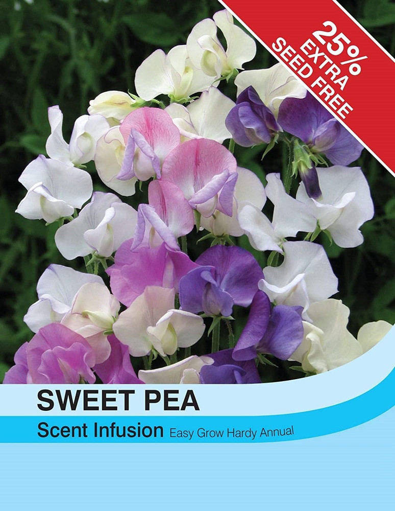 Sweet pea discount scent description