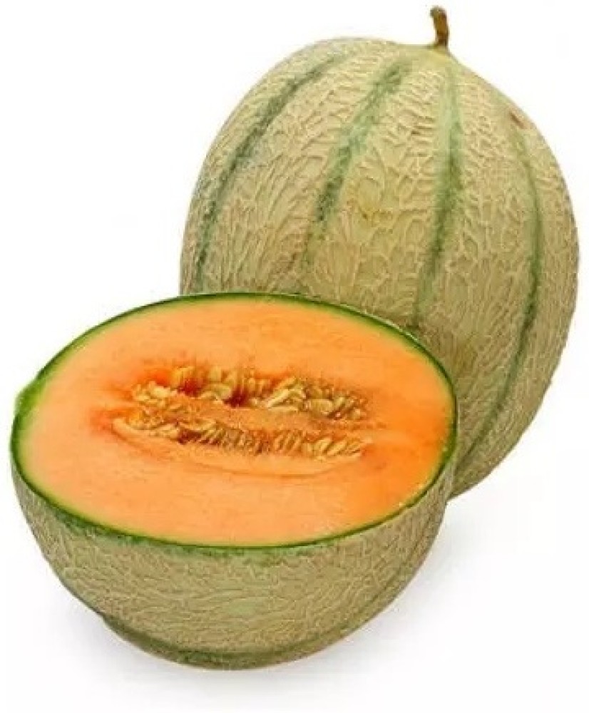 PLUSGREEN Melon Round Green Organic Muskmelon Fruit Seed Price in 