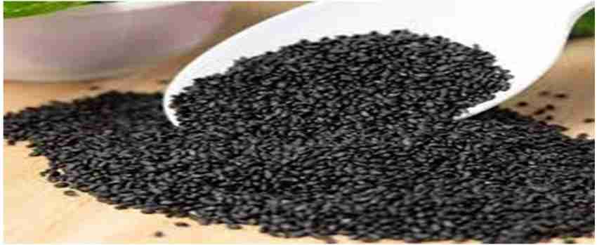 HARAYUG BASIL SEEDS EDIBLE TULSI SEEDS TUKHME REHAN OCIMUM