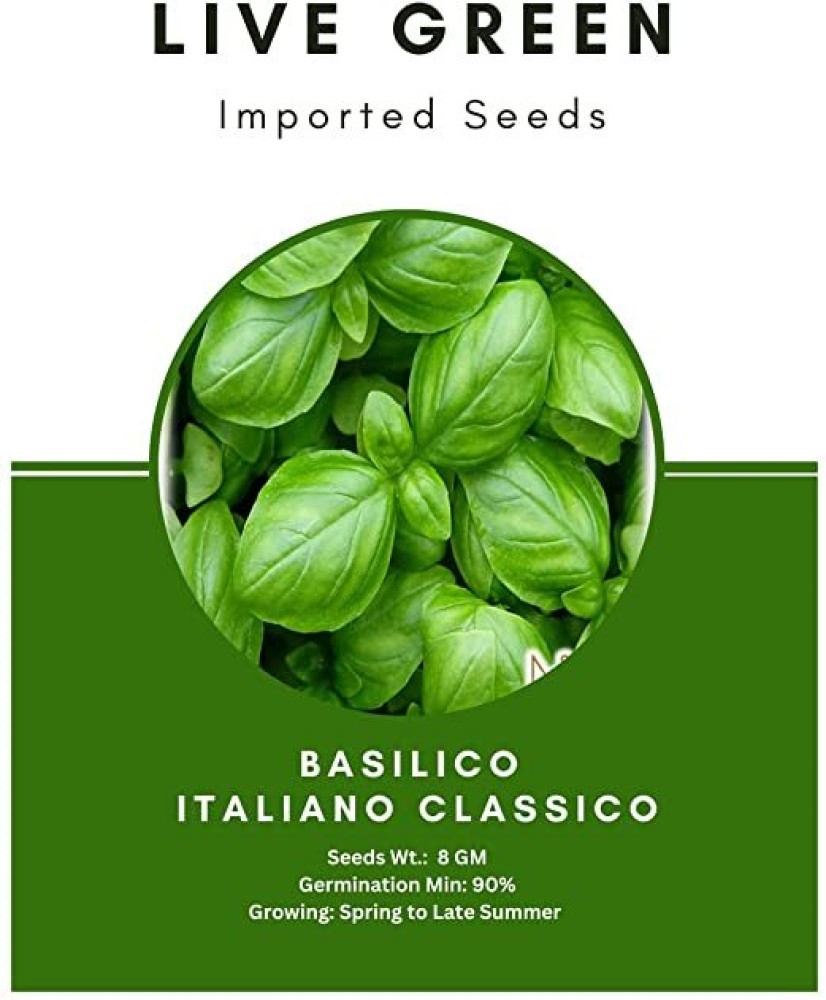 Udanta Live Green Imported Seed Basilico Italiano Classico Sweet