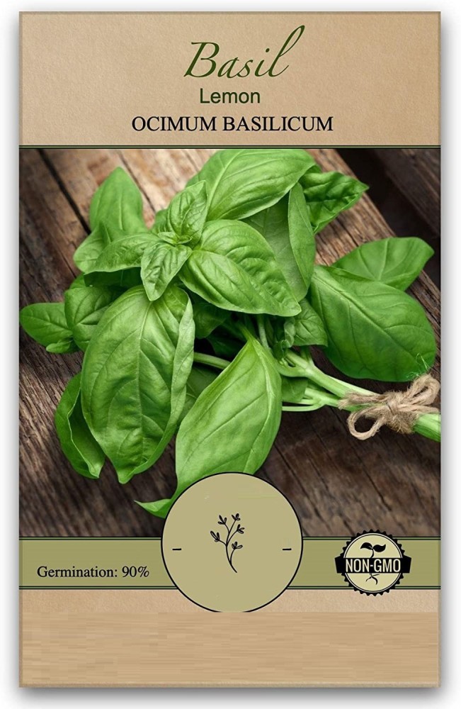 VibeX NBIR 76 Lemon Basil 13500 Seeds Seed Price in India