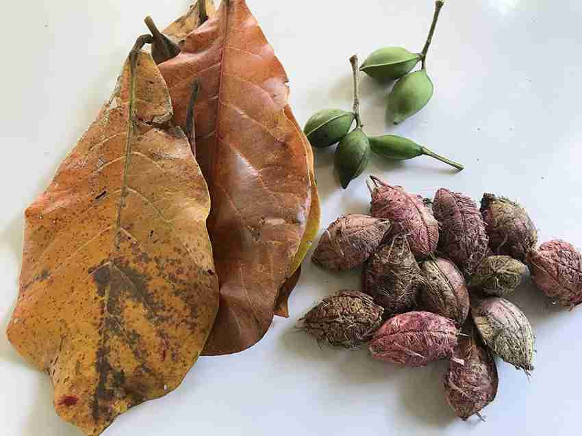 Almond seed deals