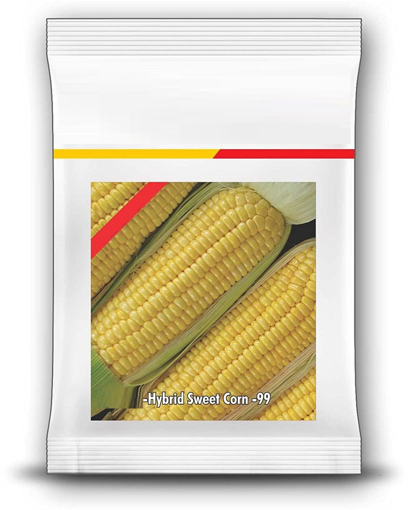 Discover 127+ corn seed cost per bag latest kidsdream.edu.vn