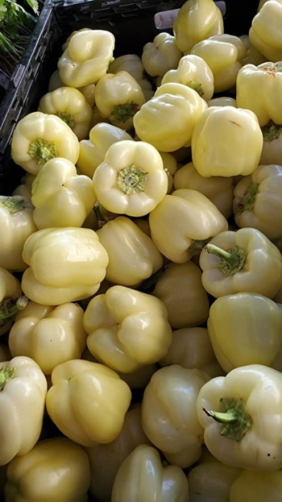 White bell clearance pepper