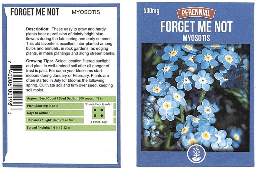 Myosotis Flower Garden Seeds - Sylvatica Forget Me Not - 500 Mg