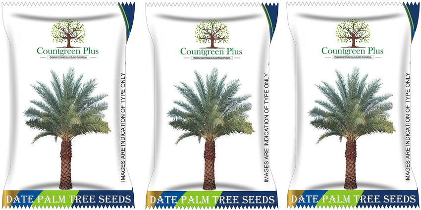 Khajur tree shop