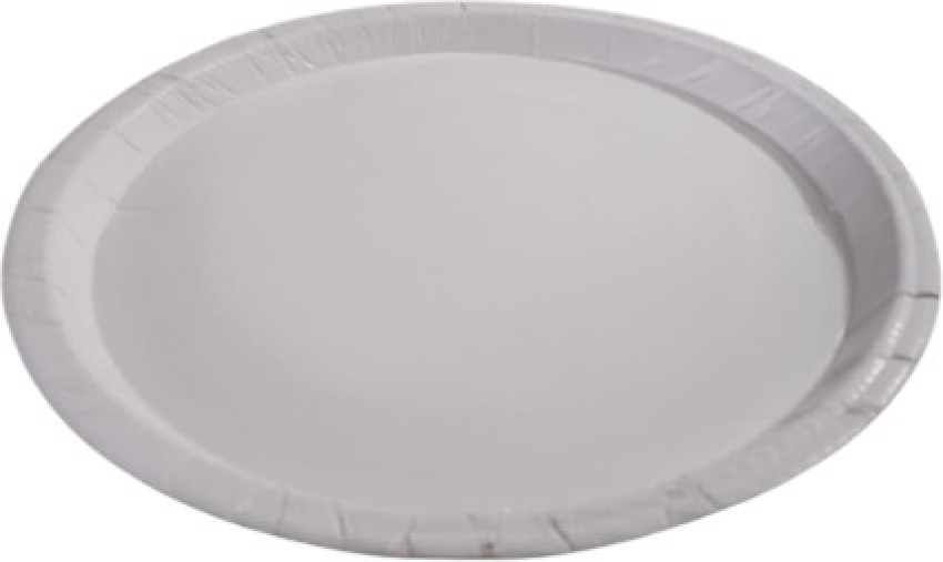 13 inch shop dinner plates