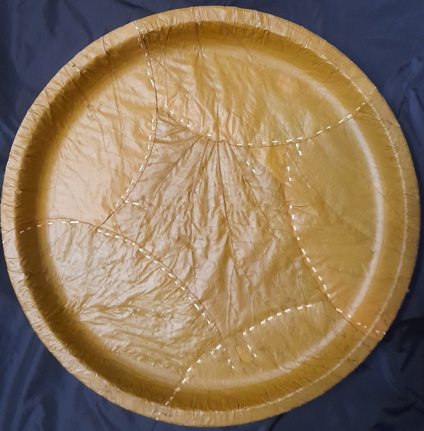 Natural Sal Leaf Disposable Plates