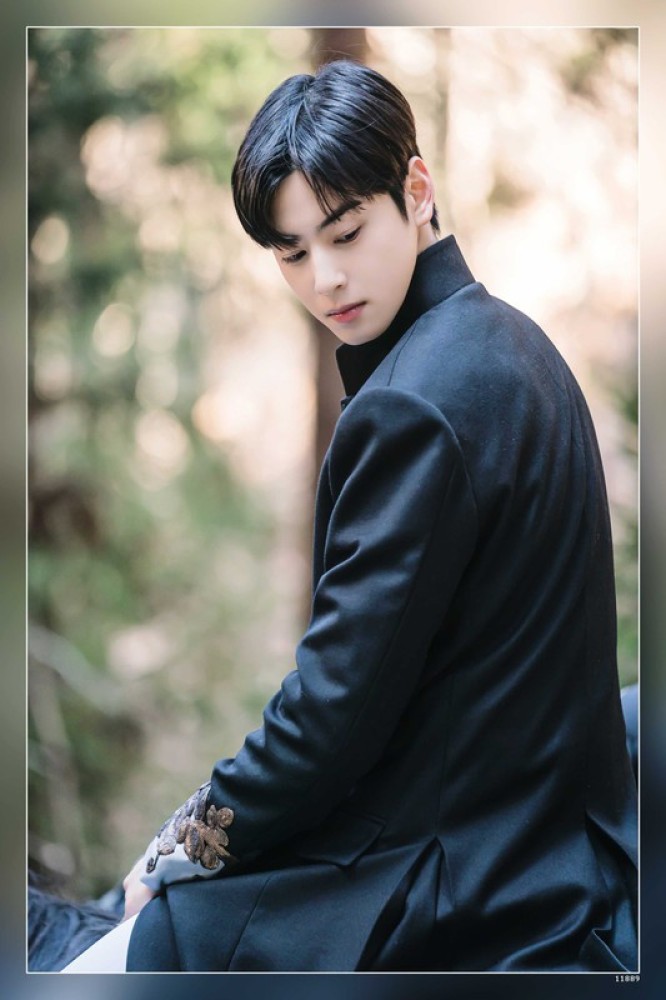 Cha Eunwoo Astro Kdrama Kpop Lee Dongmin True Beauty Matte Finish