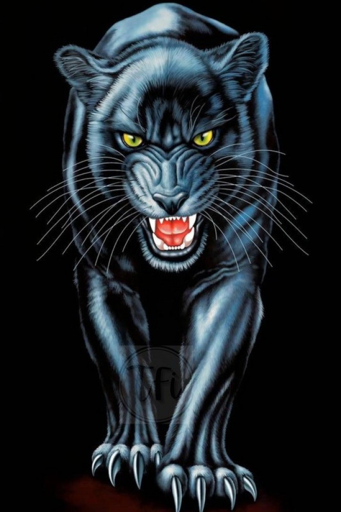 Wildlife Animal Black Panther Poster, Panther Posters for Room, Unframed