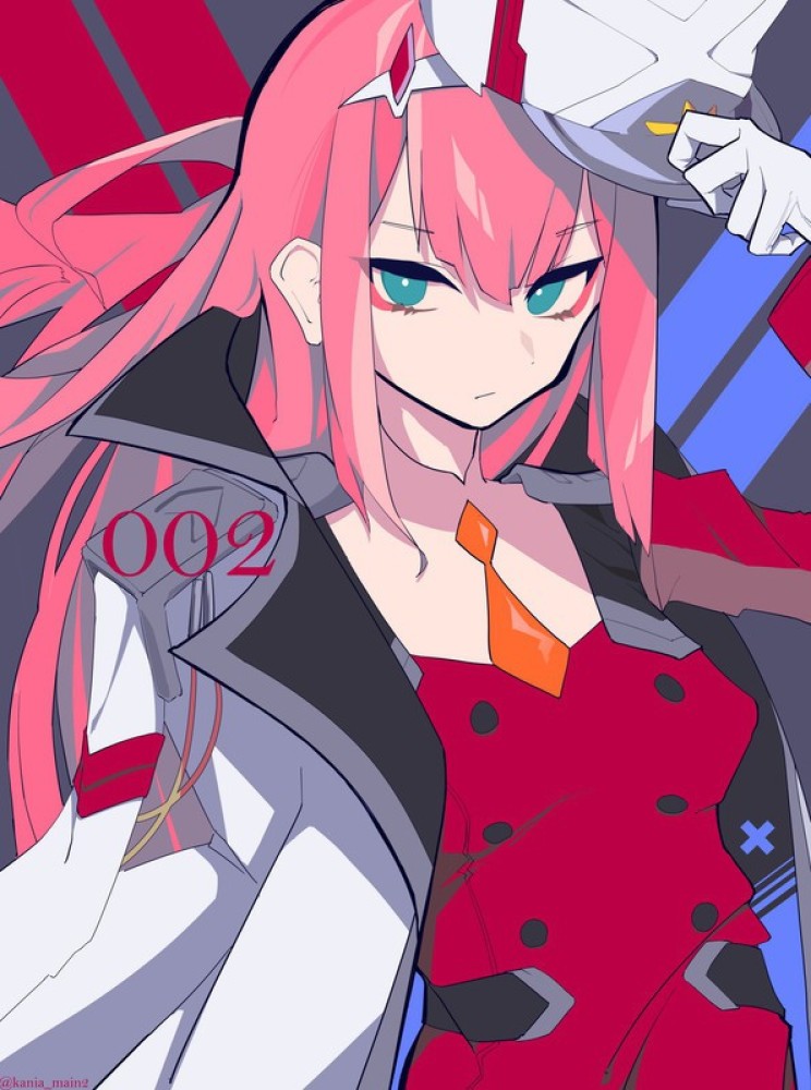 Zero Two Past 002 Anime Darling In The Franxx Zero Two Matte Finish Poster  Paper Print - Animation & Cartoons posters in India - Buy art, film,  design, movie, music, nature and