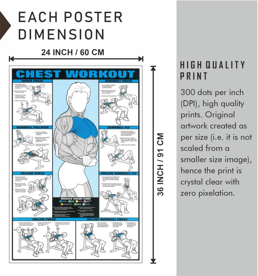 Chest Workout Exercise Gym Poster