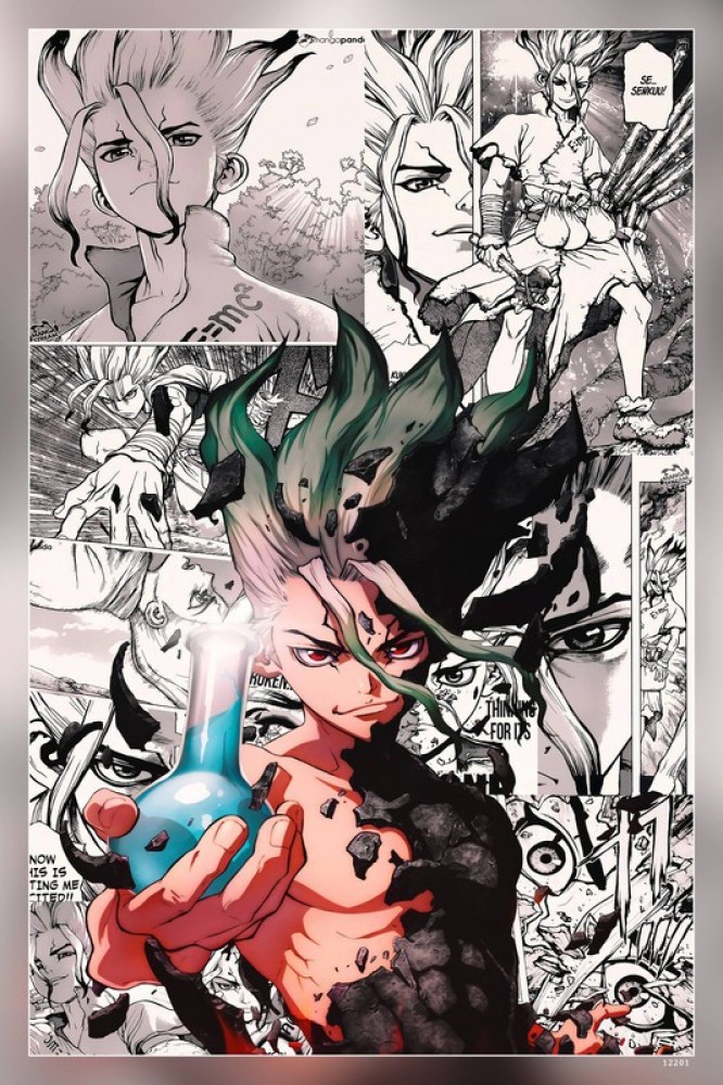 Dr Stone Senku Anime Dr Stone Matte Finish Poster P-12201 Paper Print -  Animation & Cartoons posters in India - Buy art, film, design, movie,  music, nature and educational paintings/wallpapers at
